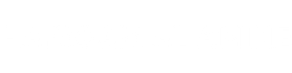 Hayssam Al Amine